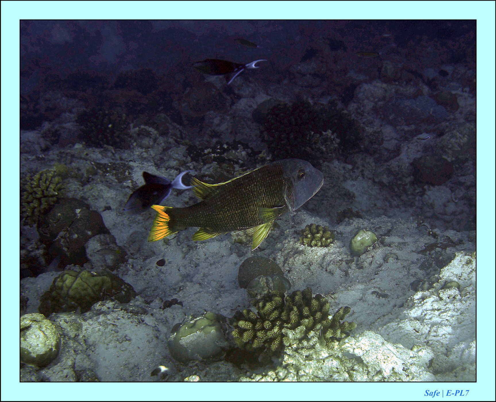 2023 - 07 - Sandies Bathala - 117